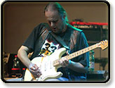 Walter Trout